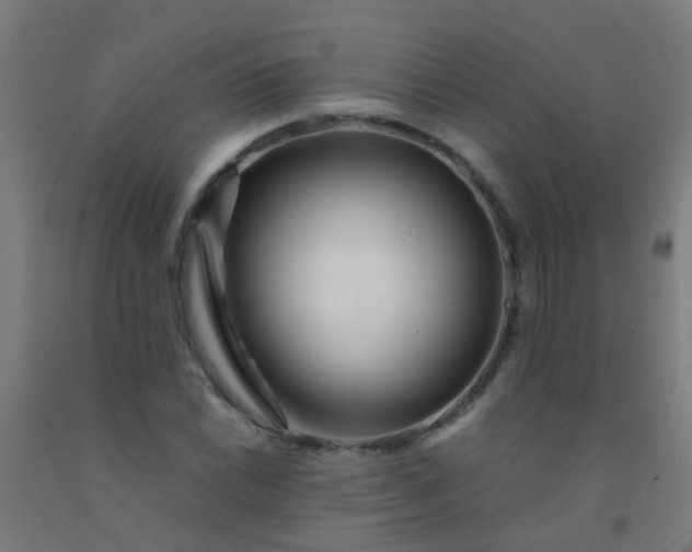 X0000092311022200709281342