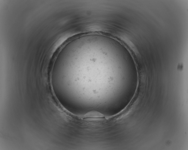 X0000092311023200709281342