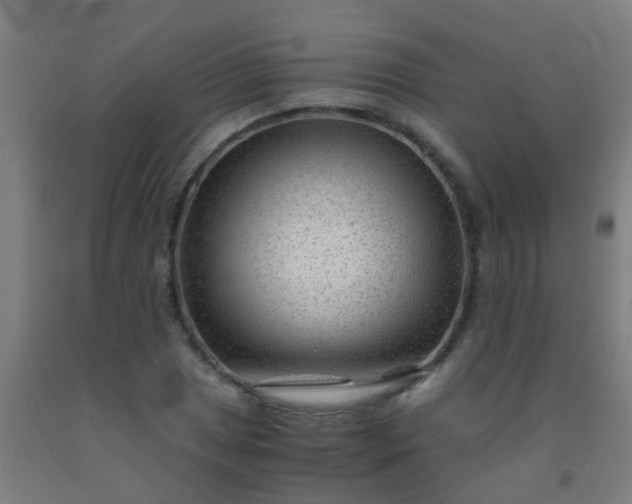 X0000092311025200709281342
