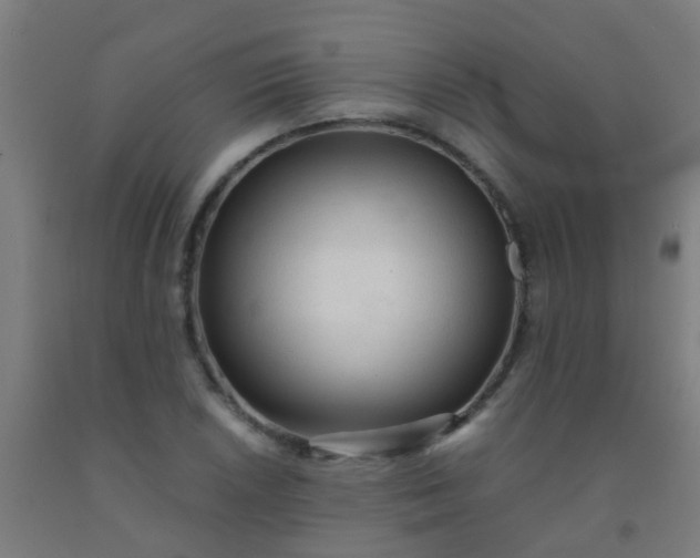 X0000092311026200709281342