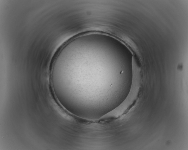 X0000092311028200709281342