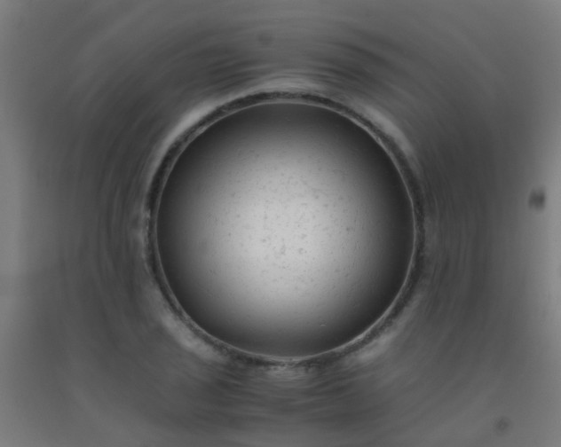 X0000092311029200709281342