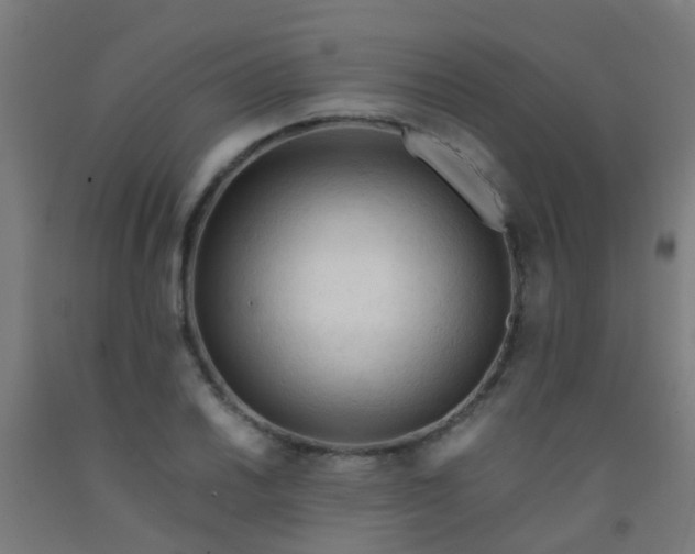 X0000092311030200709281342