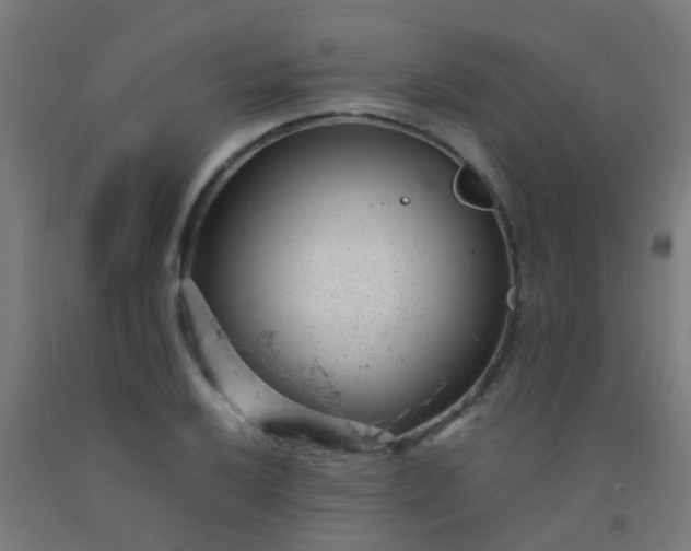 X0000092311032200709281342