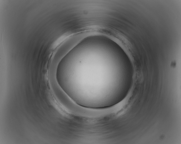 X0000092311034200709281342