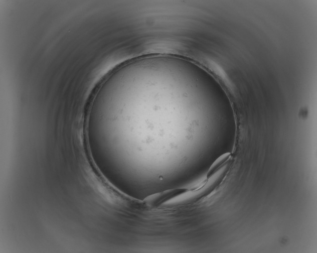X0000092311035200709281342