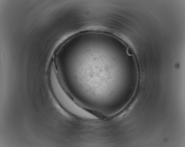 X0000092311037200709281342