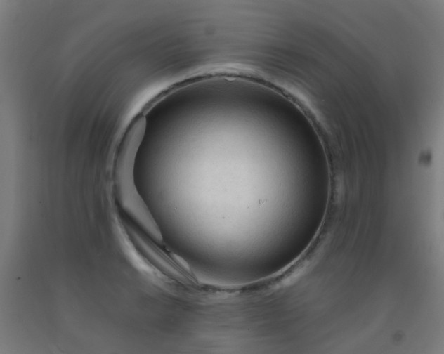 X0000092311038200709281342