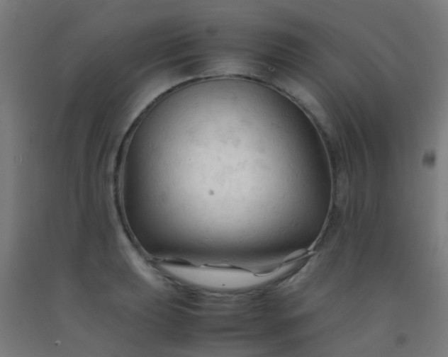 X0000092311039200709281342
