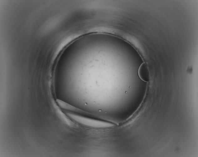 X0000092311040200709281342
