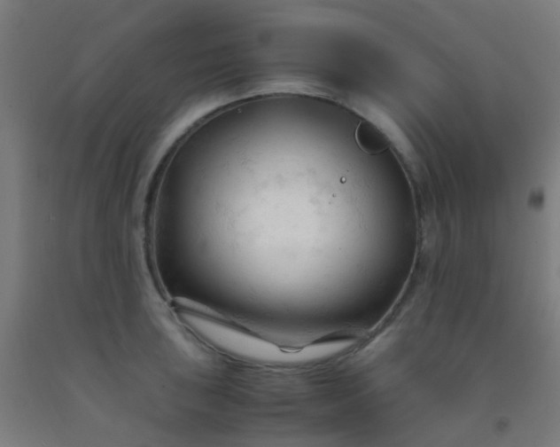 X0000092311043200709281342