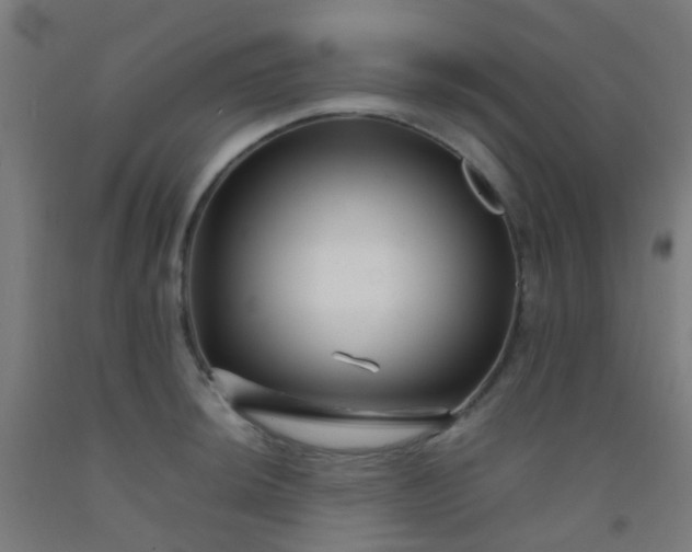X0000092311044200709281342