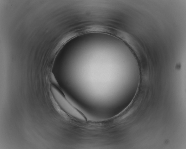 X0000092311049200709281342