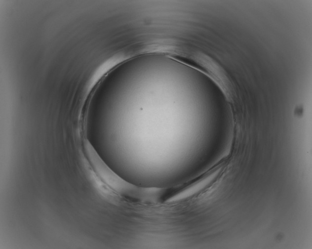 X0000092311050200709281342