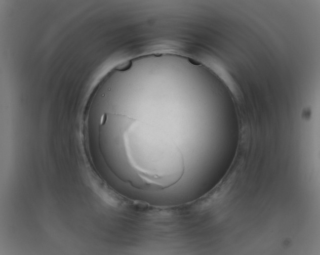 X0000092311051200709281342