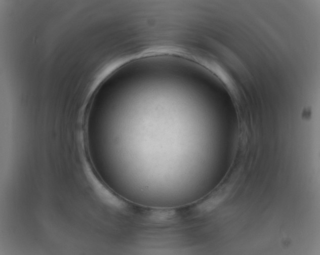 X0000092311055200709281342