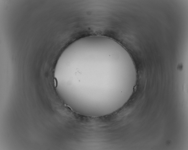 X0000092311057200709281342