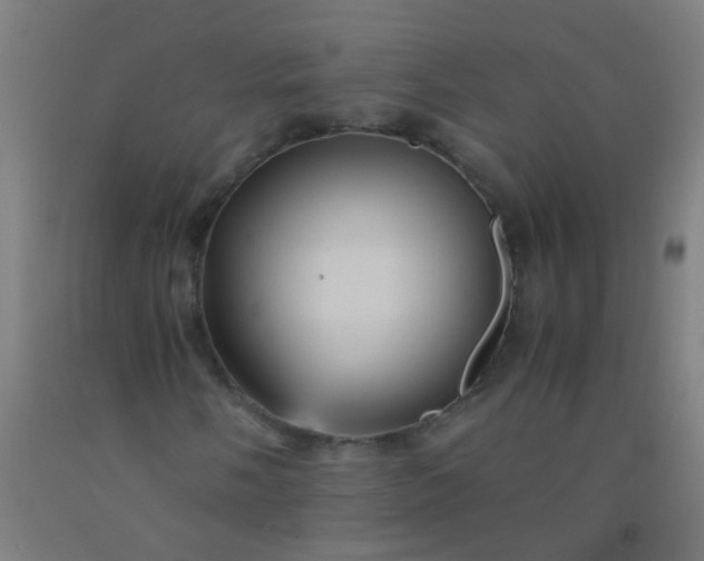 X0000092311058200709281342
