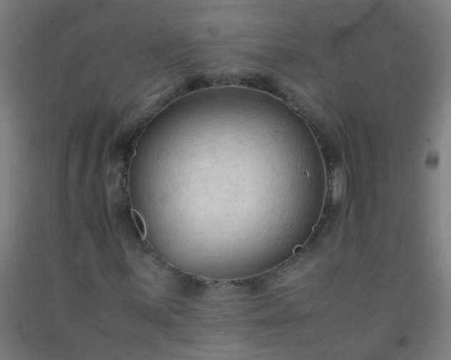 X0000092311059200709281342