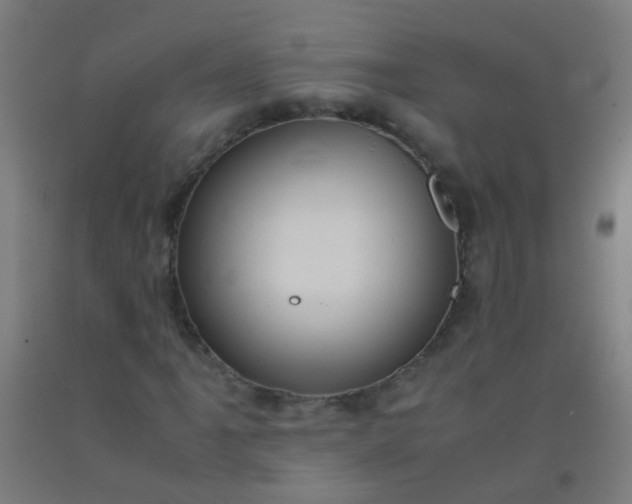 X0000092311061200709281342