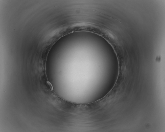 X0000092311062200709281342
