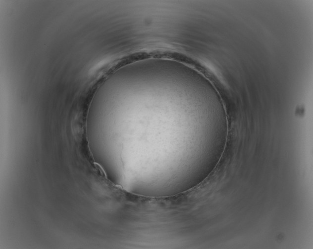 X0000092311063200709281342