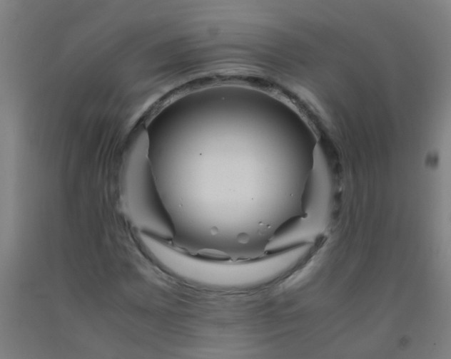 X0000092311065200709281342