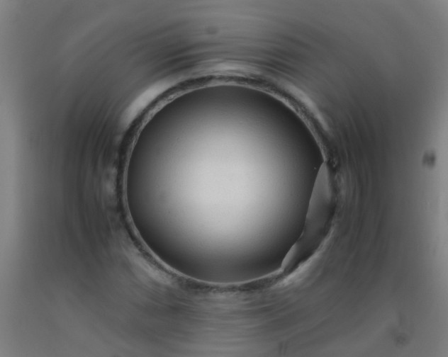 X0000092311066200709281342