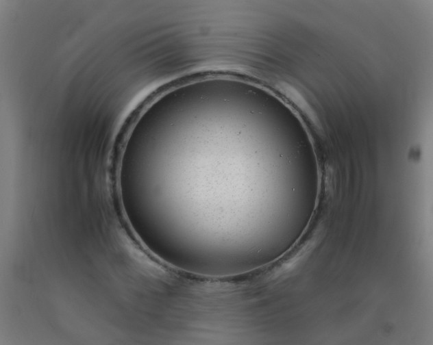 X0000092311068200709281342