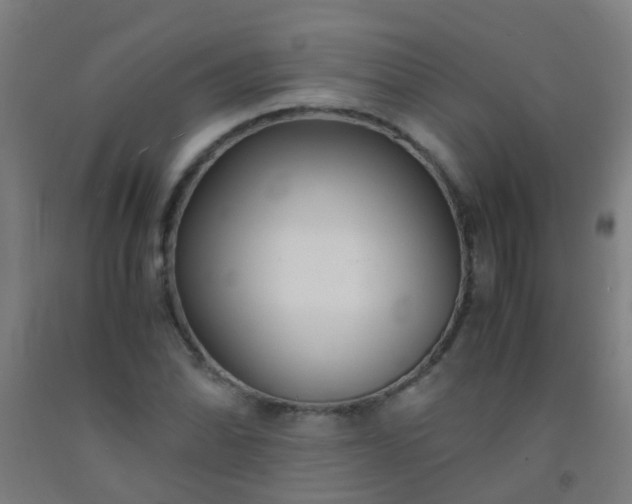 X0000092311070200709281342