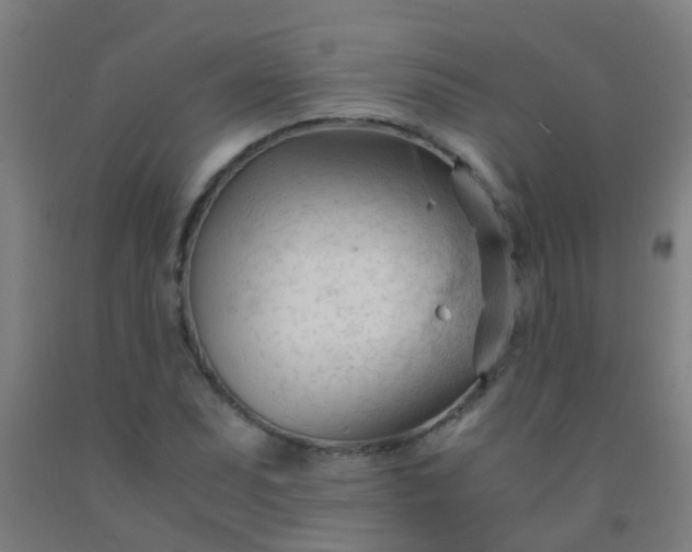 X0000092311071200709281342