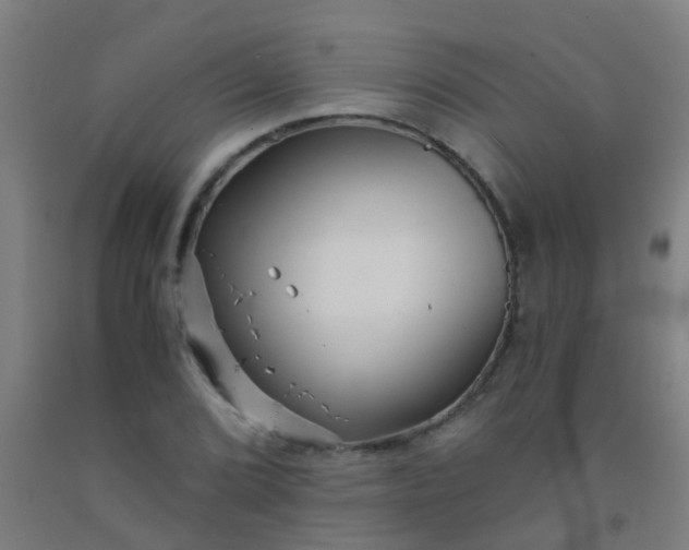 X0000092311072200709281342