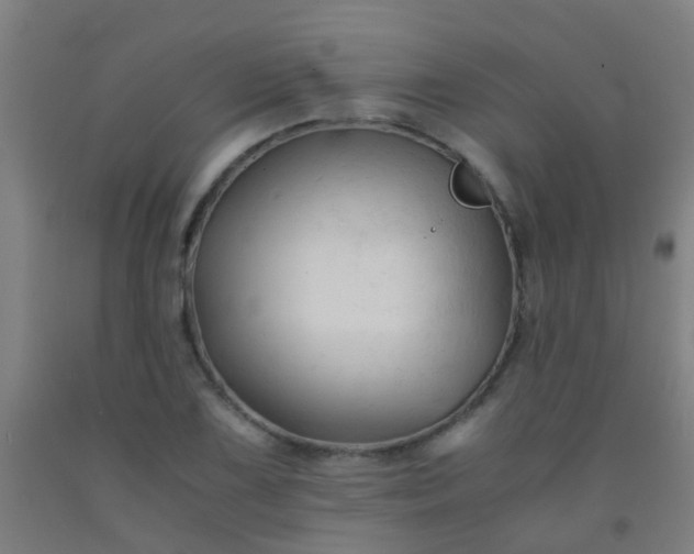 X0000092311075200709281342