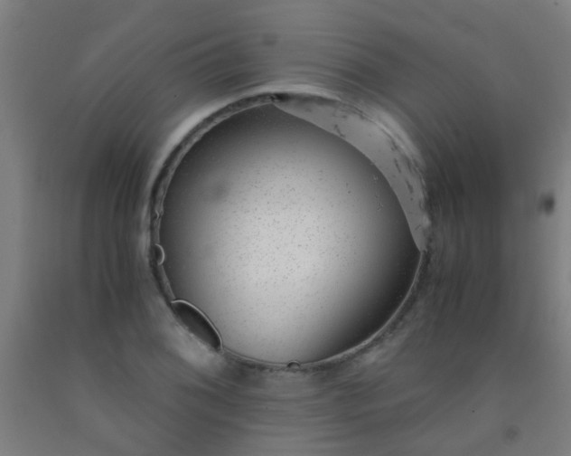 X0000092311076200709281342