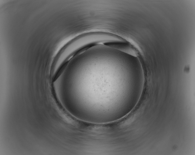 X0000092311077200709281342