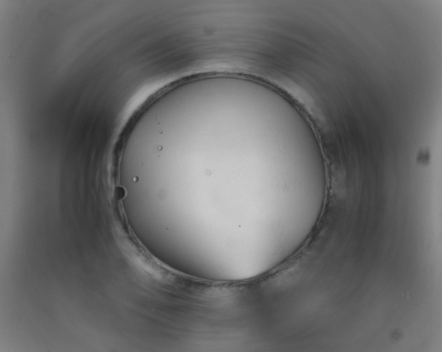 X0000092311078200709281342
