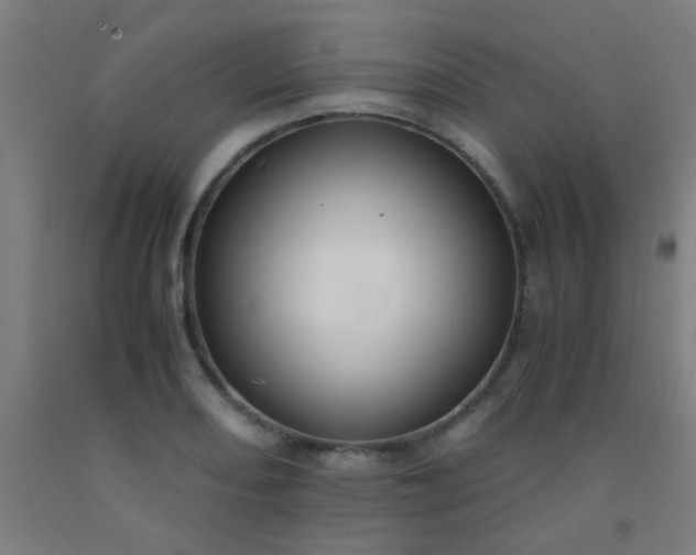 X0000092311082200709281342