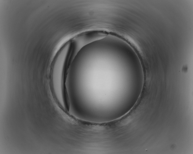 X0000092311085200709281342