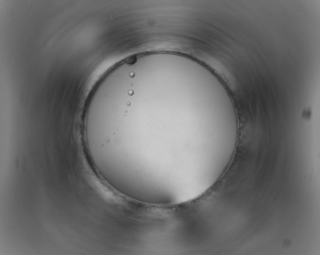 X0000092311086200709281342