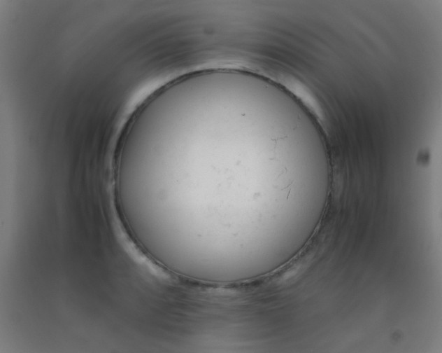 X0000092311088200709281342