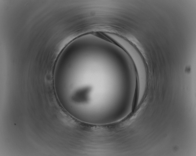 X0000092311089200709281341