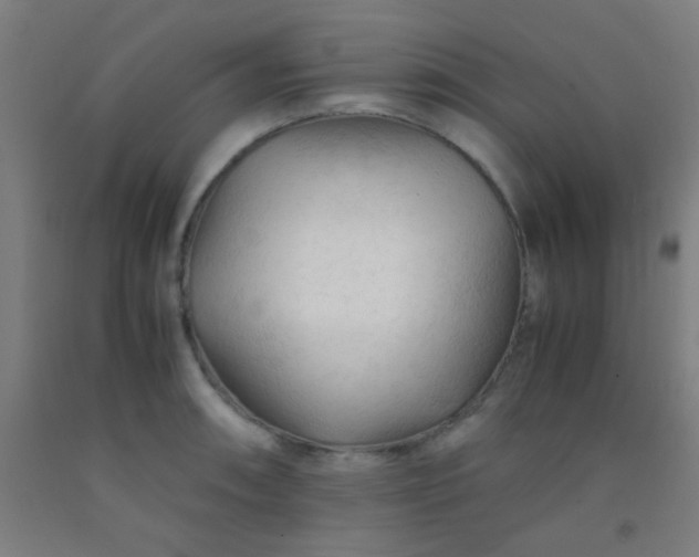 X0000092311090200709281341
