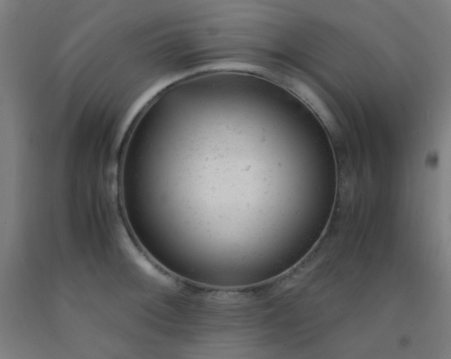 X0000092311092200709281341
