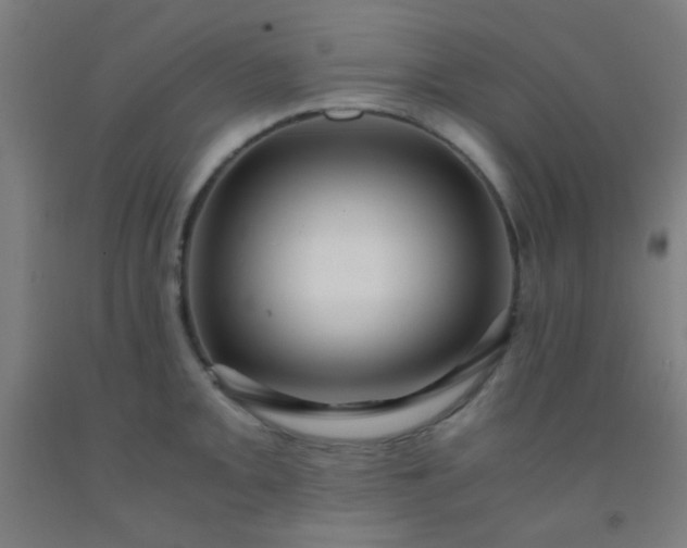 X0000092311093200709281341