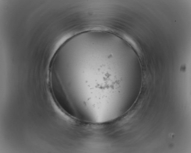 X0000092311095200709281341