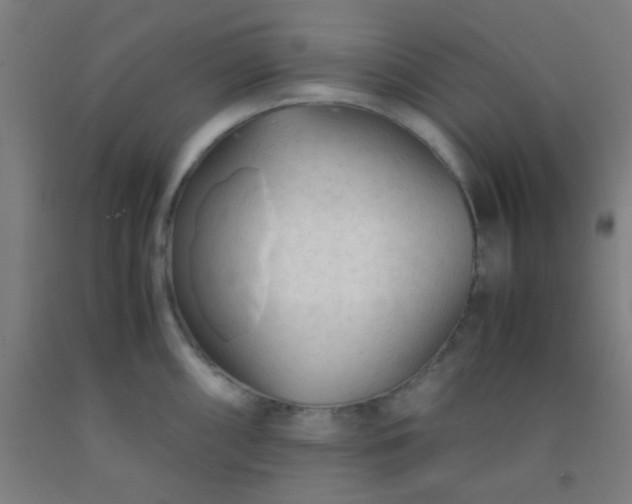 X0000092311098200709281341