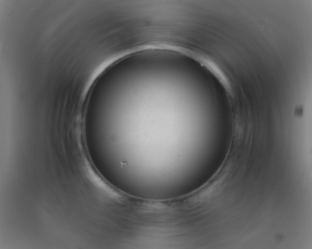 X0000092311100200709281341