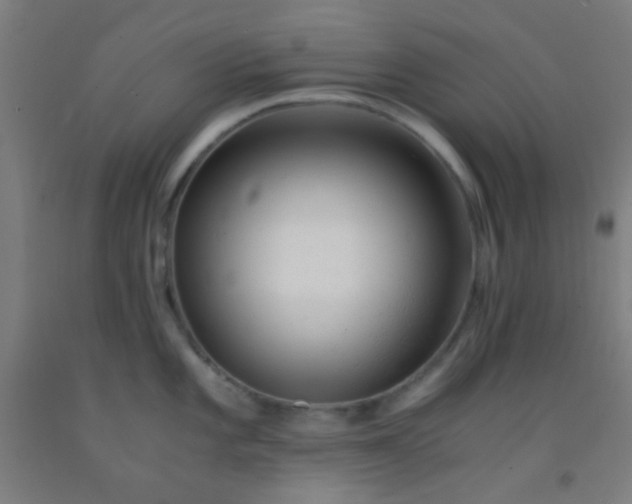 X0000092311101200709281341