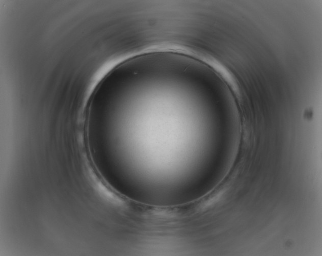 X0000092311102200709281341