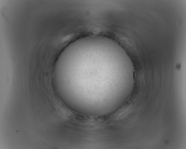 X0000092311105200709281341